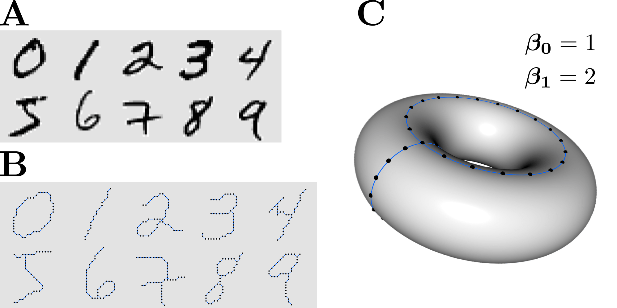 Handwritten digits, preprocessing, and a torus with two cycles
